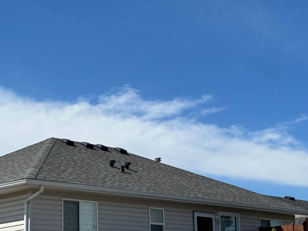 Best Skylight Installation and Repair  in Bethany, MO